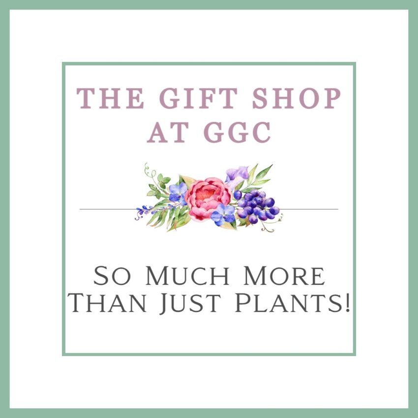 Gift Shop Flyer with Tagline