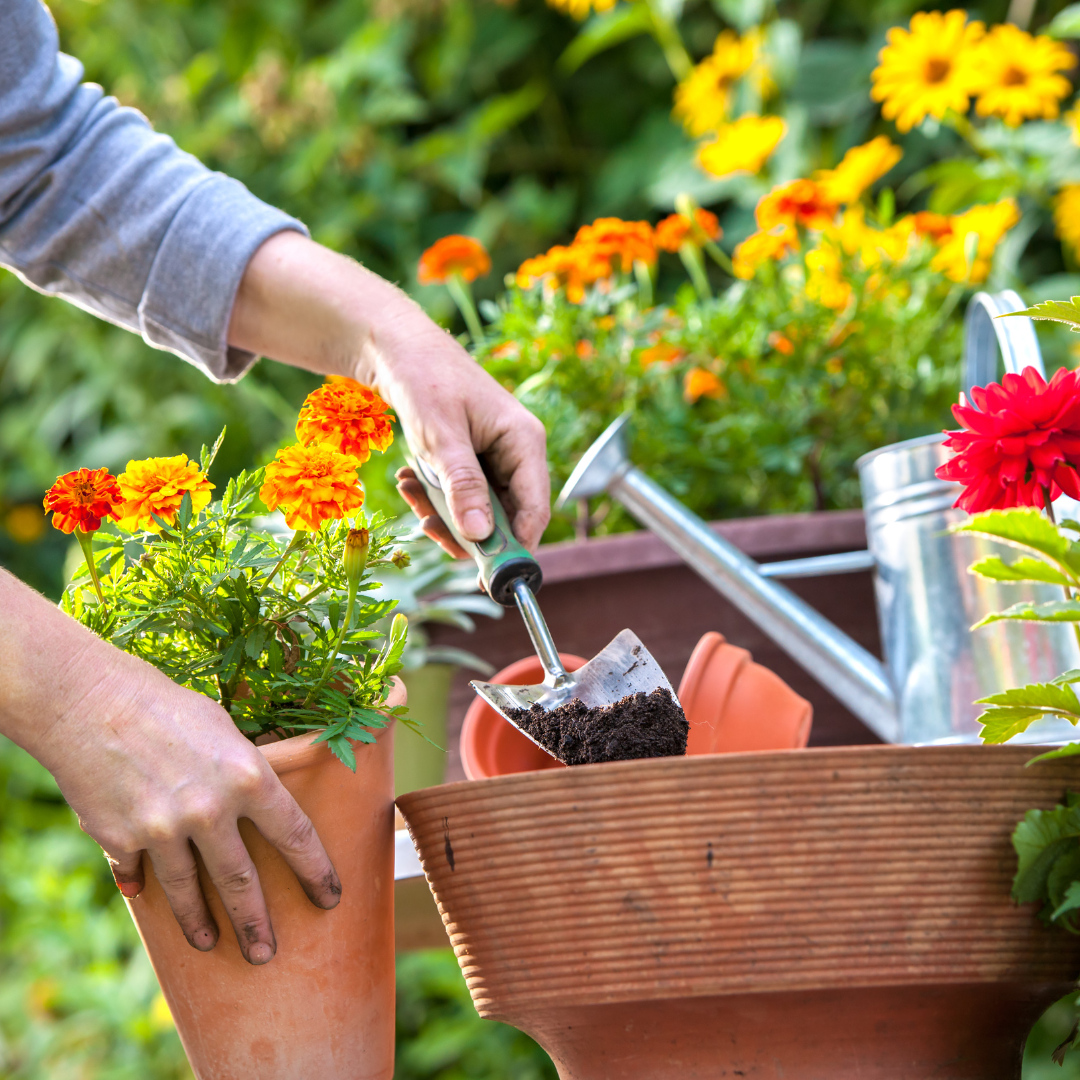 Soil sale