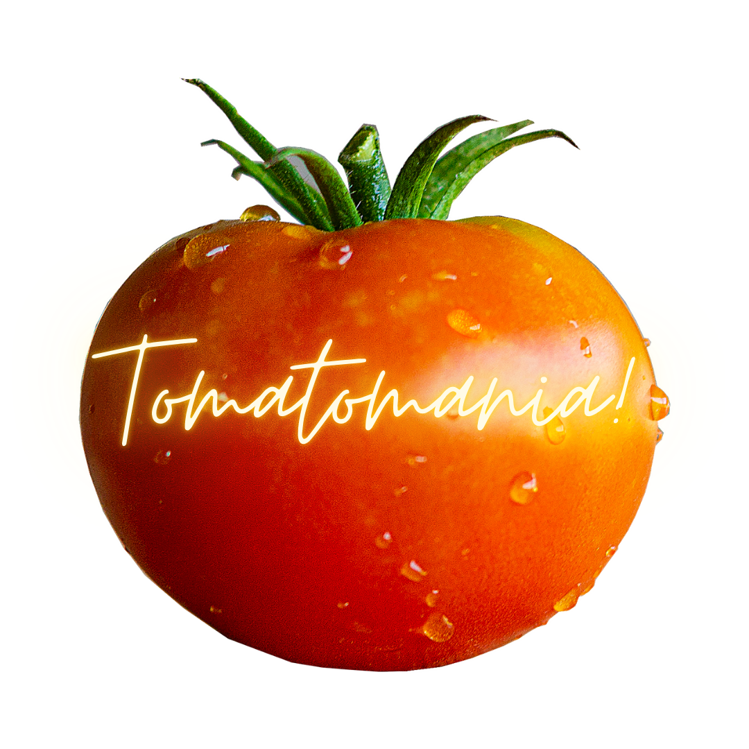 Tomatomania is here!