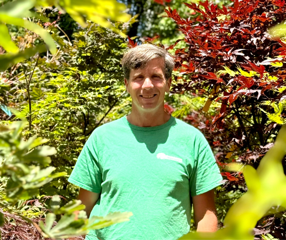 Japanese Maples with Brian