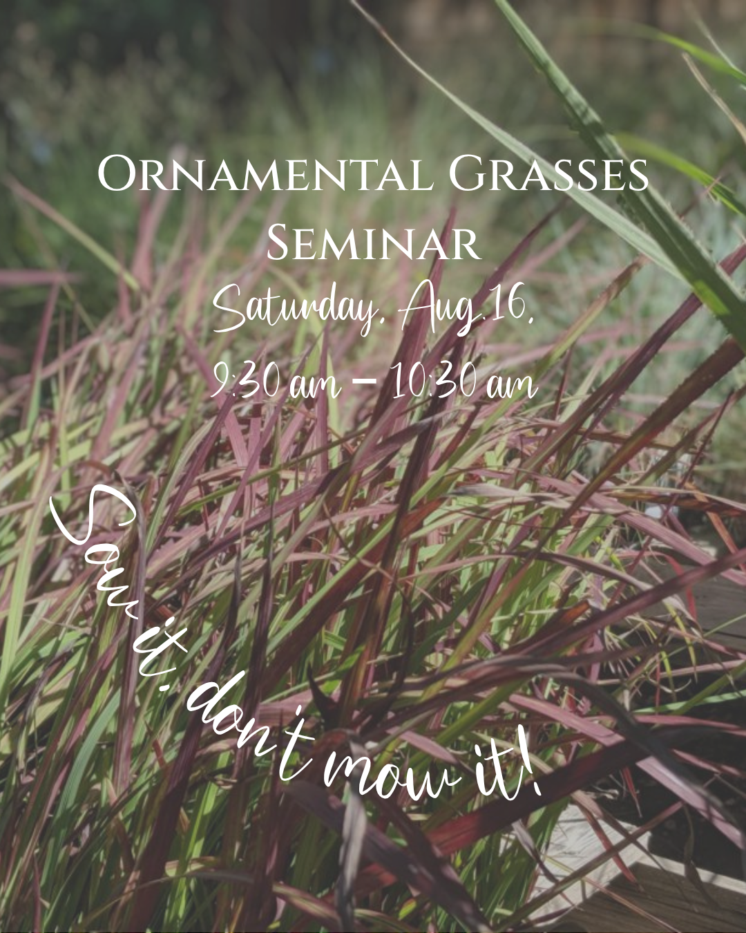 Ornamental Grasses Seminar