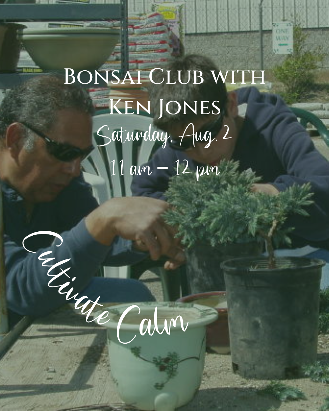 Bonsai Club