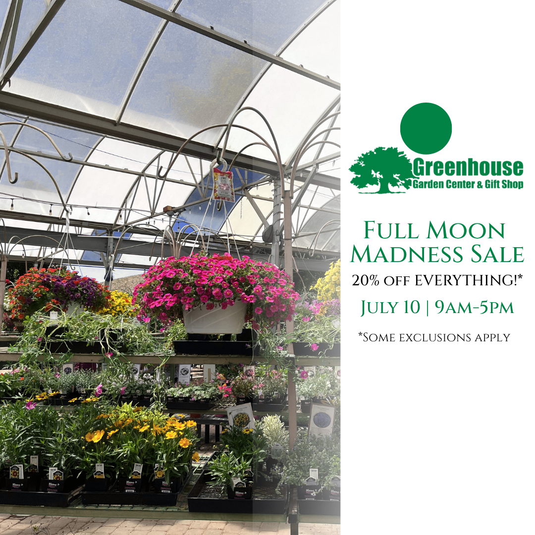 Full Moon Madness Sale