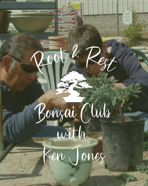 Bonsai Club