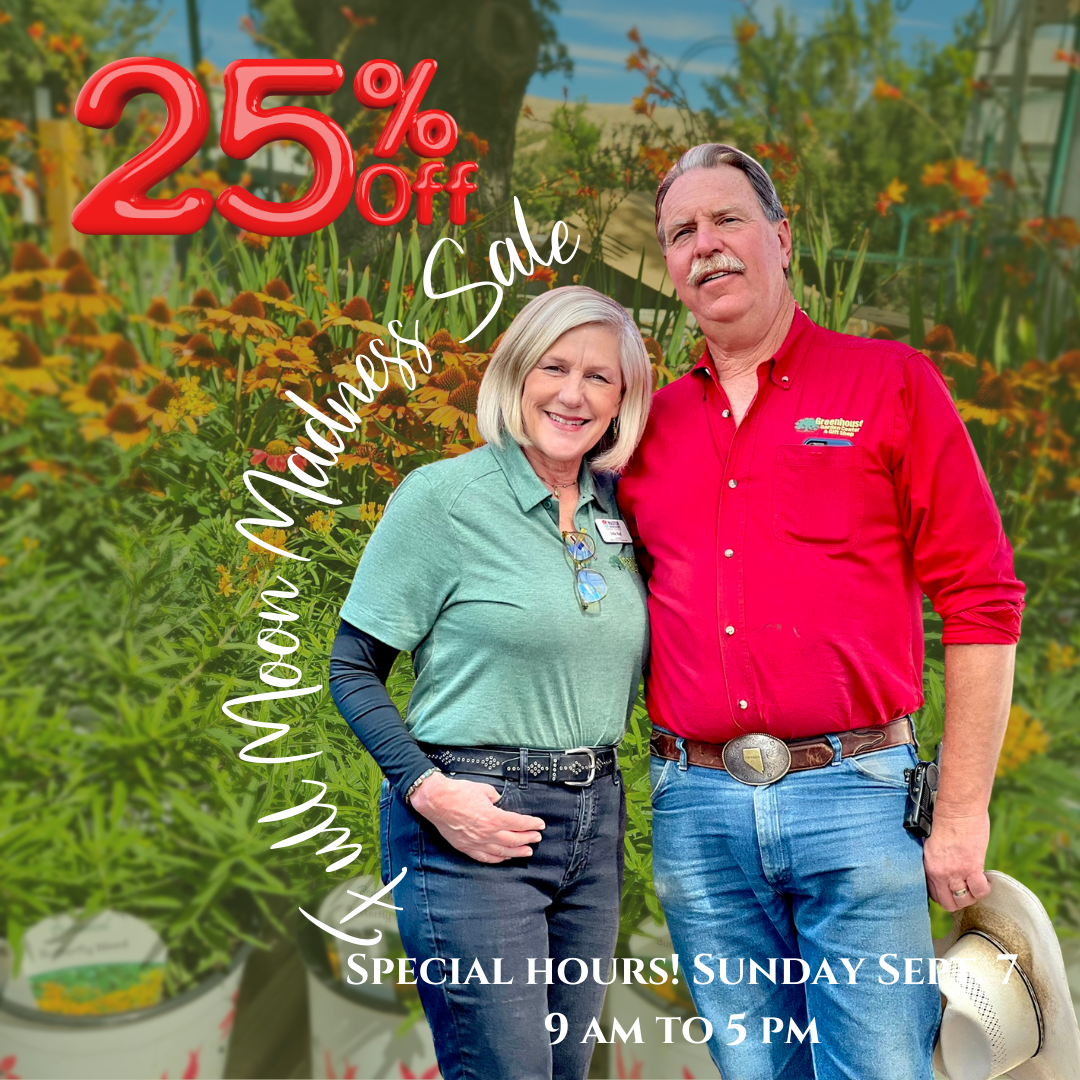 Full Moon Madness Sale